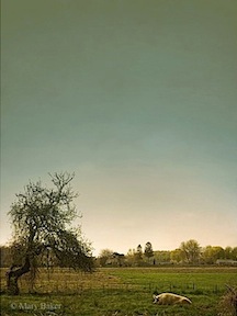 Pig and Apple Tree © Mary Baker
