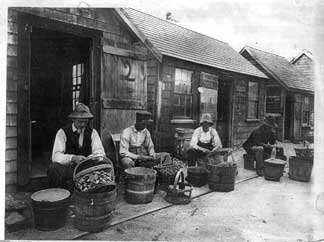 Clam-Shack-Workers.jpg