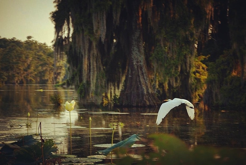 Hope and Recovery for Southern Louisiana, Flooding 2016