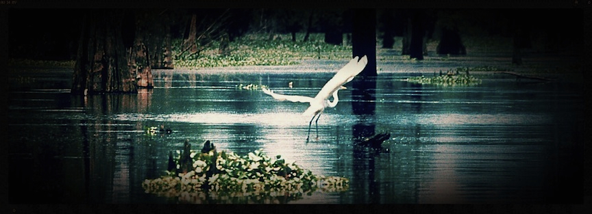 The spirit of courage and generosity of the people of Southern Louisiana 