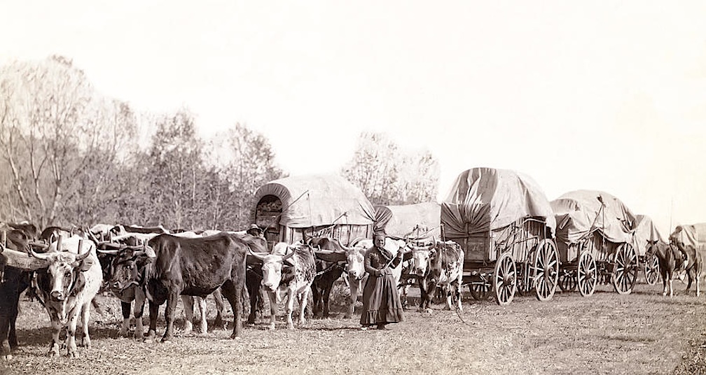 Wagon Train on the Emigrant Trail